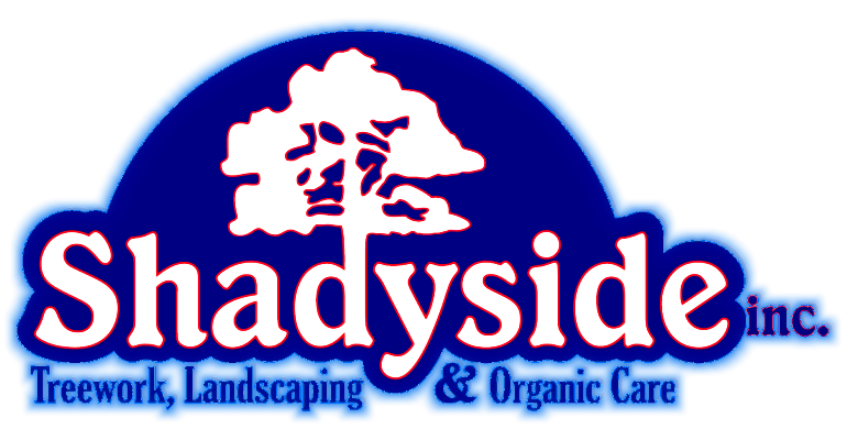 Shadyside Landscaping - Treework Landscaping and Organic Care